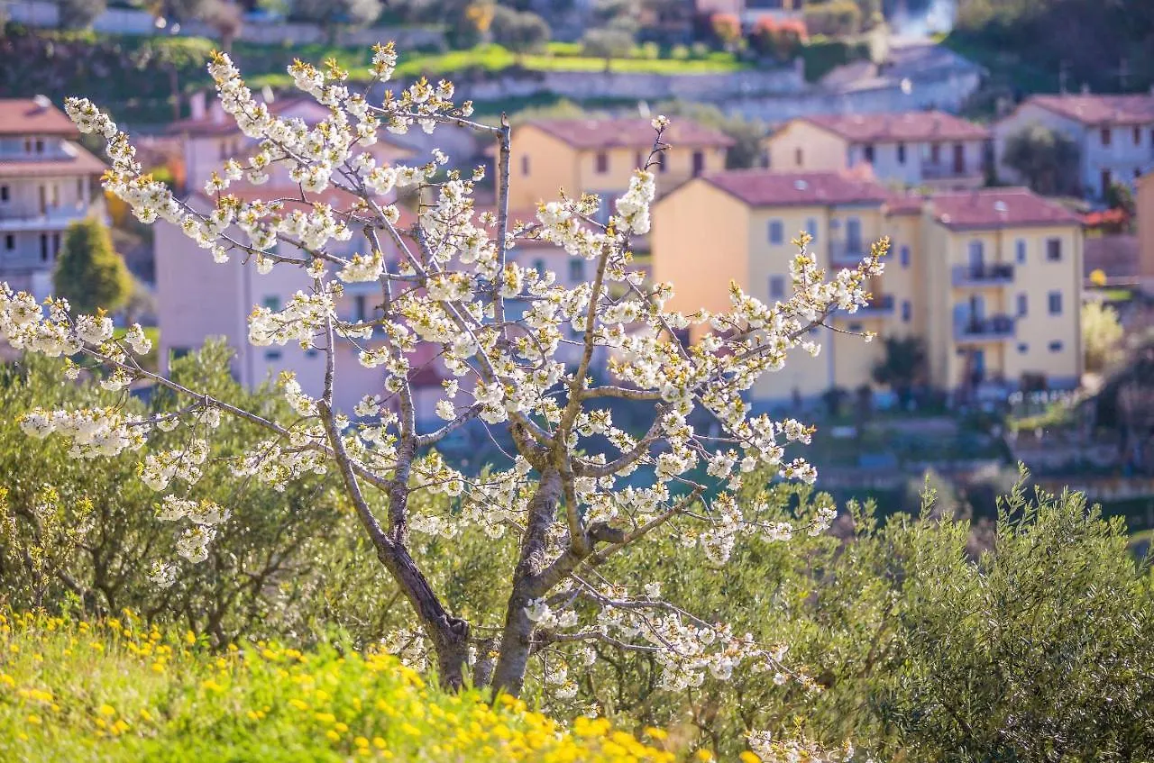 Valpolicella Homes Amarone Apartment SantʼAmbrogio di Valpolicella Italia